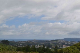 Salah satu view saat melintas di jalan raya Wellington dan Palmerston North Selendia Baru_Dok Pribadi