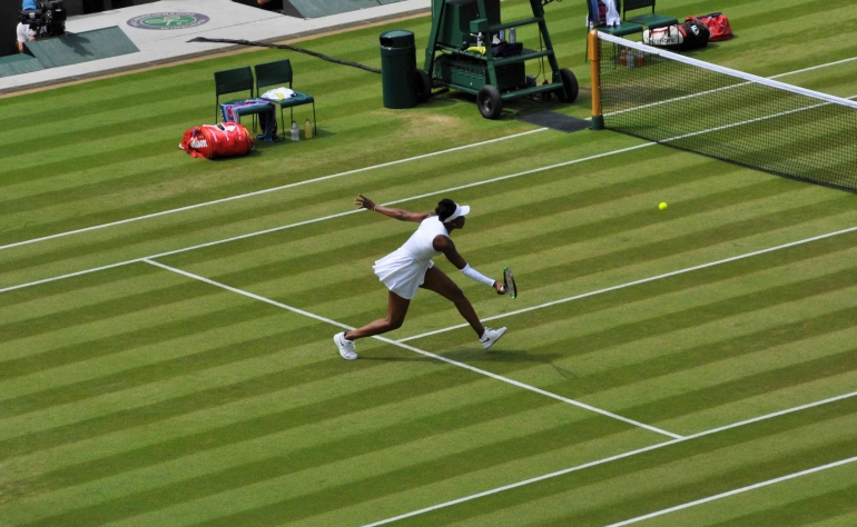 Venus Williams bersiap melakukan volley di sebuah turnamen lapangan rumput. (sumber foto: Moo's Tennis Blog)