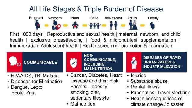 Triple burden disease (sumber: google)