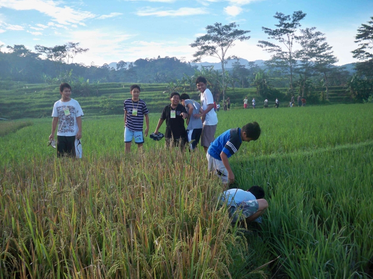 eksplorasi alam desa di pagi hari (foto:dokumen pribadi)