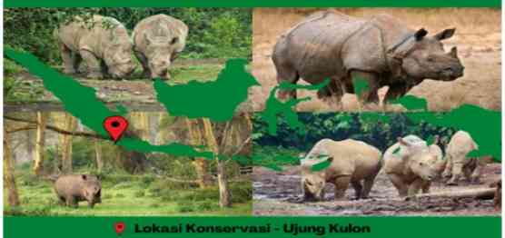 Gambar 2 : Lokasi Konservasi Badak Jawa di Indonesia (Sumber : Penulis, 2022)