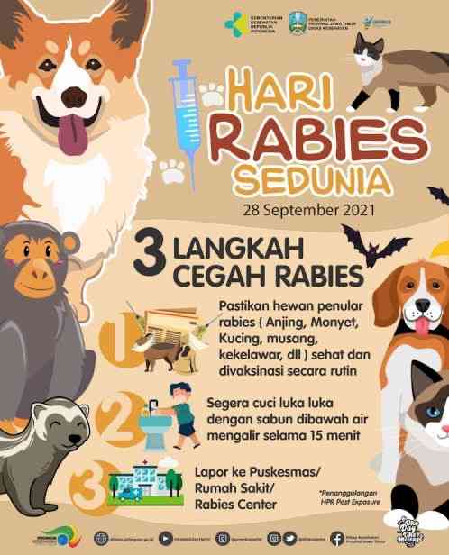 Tingkatkan Pencegahan Gigitan Hewan Penular Rabies (GHPR) Anjing ...