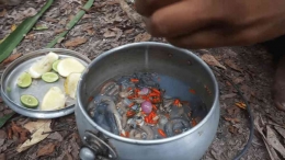 Memasak cacing tambelo atau cacing bakau dengan bumbu colo-colo khas Papua | IDNTimes.com