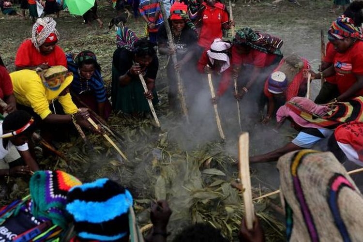 Warga bersama-sama mengangkat batu untuk mengambil makanan yang dimasak dengan bakar batu di Lapangan Trikora, Distrik Ilaga, Kabupaten Puncak, Papua, Kamis (15/9/2016).(KOMPAS.com/GARRY ANDREW LOTULUNG)