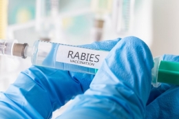 Ilustrasi vaksin rabies (Tobias Arhelger via kompas.com) 