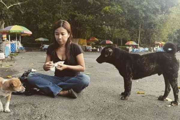 Anjing Liar Yang Kerap Ditemukan Di Tempat Wisata di Bali | Sumber IDN Times