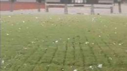 Kondisi rumput Stadion Utama Gelora Bung Karno (SUGBK), Senayan, Jakarta (Tangkapan layar/Twitter/@FaktaSepakbola)