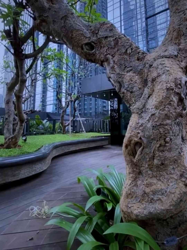 Dok. Pribadi