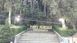 Pinus Pengger. (Foto: Widadi)
