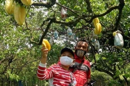 Nikmati lezatnya buah tropis di Taman Buah Mekarsari bersama keluarga (Foto 6: Travel Kompas.com)