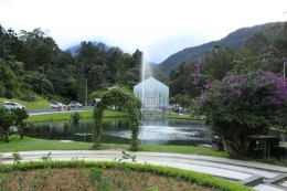 Sejuknya suasana hijau di Kebun Raya Cibodas (Foto 4: Traveloka.com)