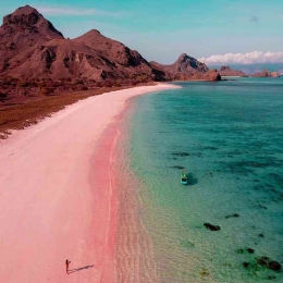 Pantai Pasir Pink, Pulau Komodo (SC:Wikipedia)