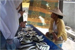 Wawancara dengan penjual ikan, Dokumen Pribadi
