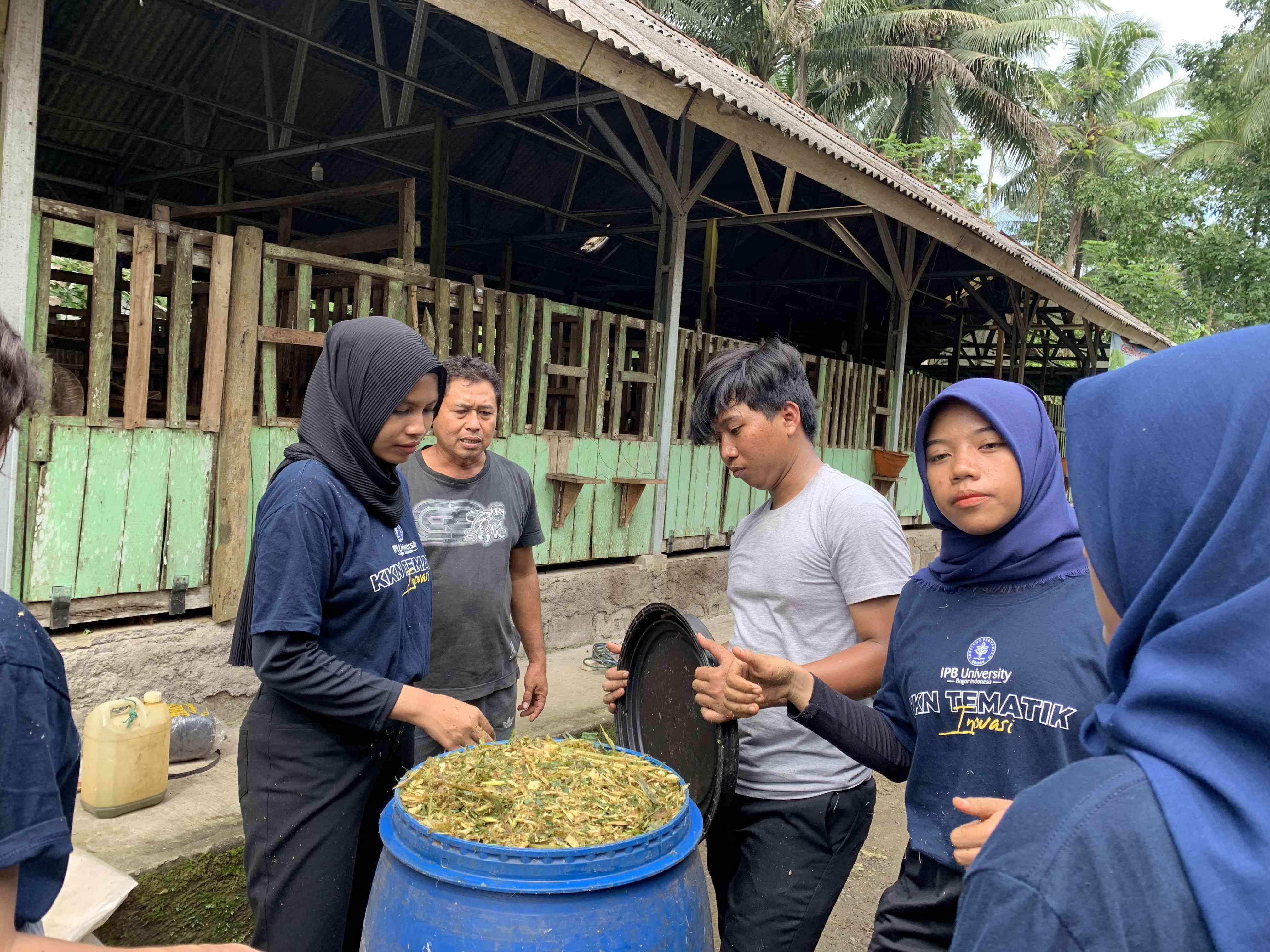 Mahasiswa KKN-T Inovasi IPB Melaksanakan Praktik Pembuatan Pakan Silase ...