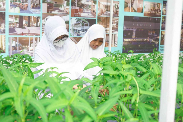Aktivitas siswa SMP Shafiyyatul Amaliyyah dalam menanam tanaman hidroponik