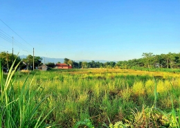 Sebuah panorama pagi di sudut selatan Kajen, Pekalongan (Dokpri)