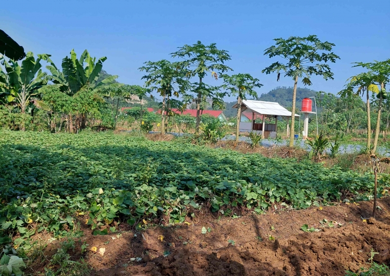 Kondisi pertanian masyarakat Desa Batujajar (sumber: dok.pribadi)