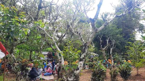 Pemakaman Mujan tempat pertunjukan Sandur Klungkung. Dokumentasi penulis
