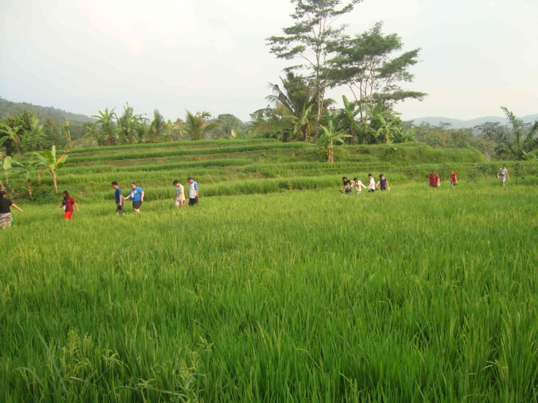 salah satu kegiatan Live-in menjelajah sawah (sumber:dokumen pribadi)