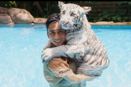 YouTuber Alshad Ahmad bersama seekor harimau putih.(Sumber: Instagram/@alshadahmad via kompas.com)