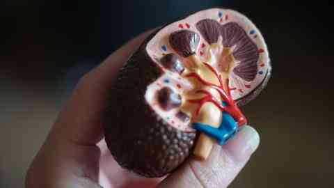 Sehat itu mahal, jangan sembarangan mentransaksikan organ tubuh yang paling vital, ilustrasi : cnbcindonesia.com