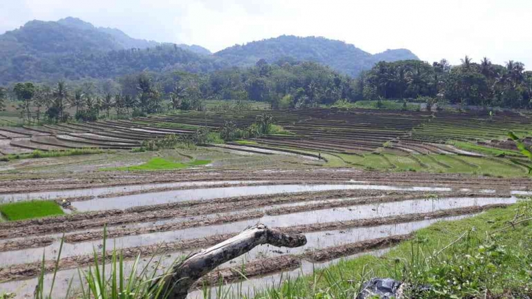 Pesona Landscape Alam Nanggulan dari Kopi Ingkar Janji (Sumber: koleksi pribadi)