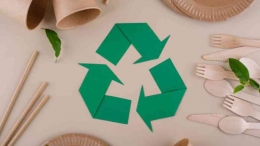 https://elements.envato.com/reusable-eco-friendly-sustainable-food-packagind-QJL5L5Y