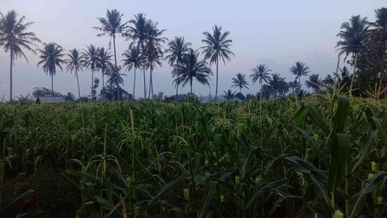 Dok. pribadi