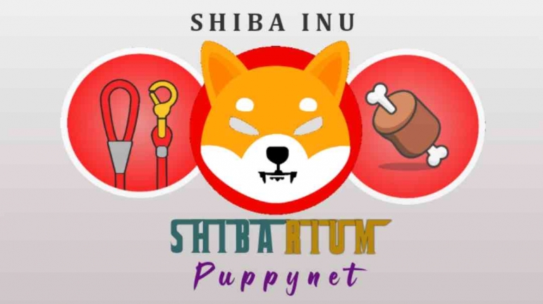 Image source edited by Angga Munandar | Illustration of stopping Shibarium Beta puppynet 