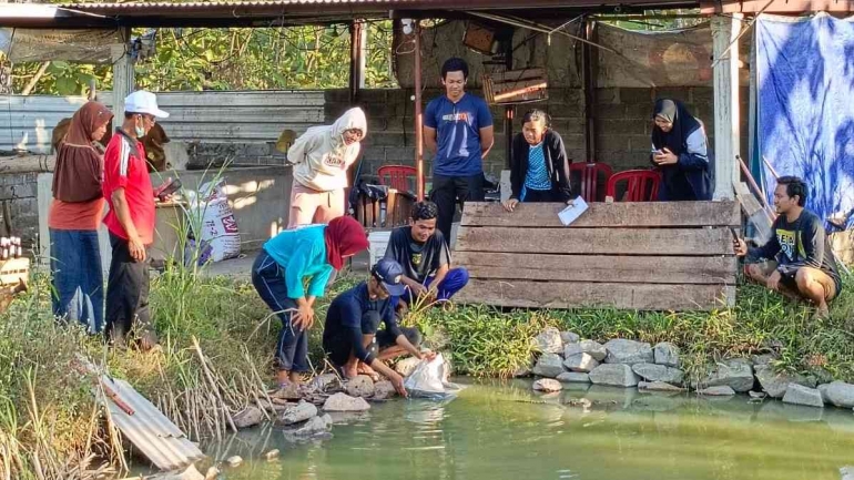 Melakukan Pelatihan Penebaran Benih Ikan Lele Yang Baik dan Benar (Dokumentasi Pribadi, Kulurejo (29/07/2023))