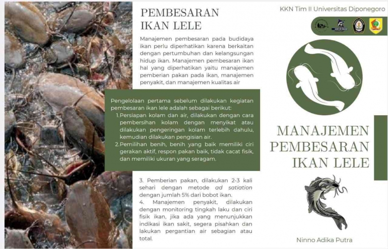 Leaflet Cara Pembesaran Ikan Lele yang Benar (Dokumentasi Pribadi, Kulurejo (29/07/2023))