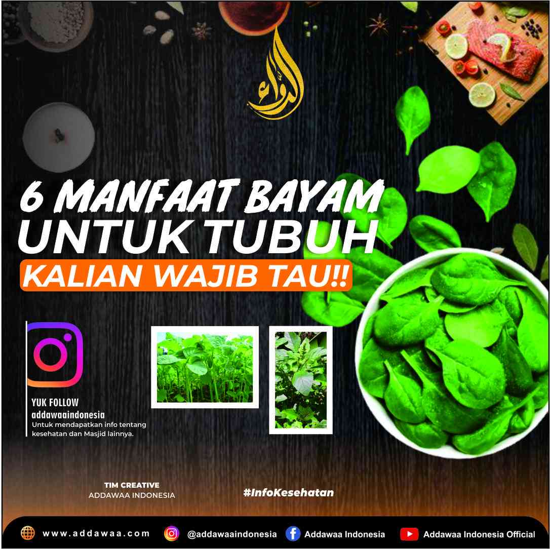 6 Manfaat Bayam Untuk Tubuh, Kalian Wajib Tau Halaman 1 - Kompasiana.com