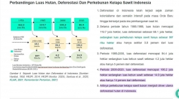 Perbandingan Luas Hutan, Deforestasi Dan Perkebunan Kelapa Sawit Indonesia. (Tangkapan layar/Palmoilina.asia)