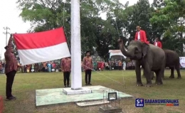 3 gajah Sumatera menjadi petugas pengibar bendera di HUT RI ke-78 di Kantor BBKSDA Riau (sabangmerauke.com)