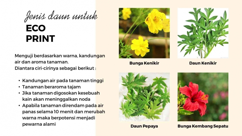 Jenis Daun Untuk Eco Print | dokpri