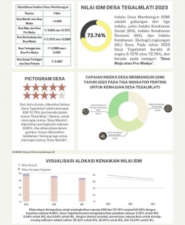Infografis Peserta KKN Undip Tim II 2022/2023/Dokpri