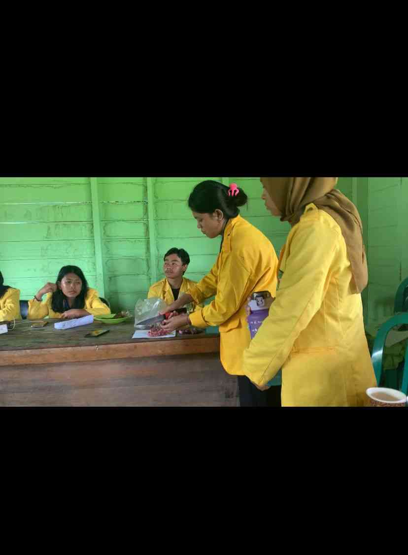 Pengenalan Produk Inovasi Pestisida Nabati Kulit Bawang Merah Di Desa ...