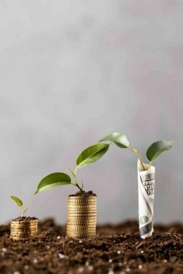 www.freepik.com/free-photo/front-view-plants-with-coins-stacked-dirt-banknote_11764134.htm#query=finance&from_query=sukuk&position