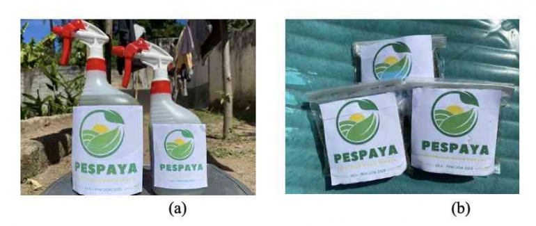 Gambar 1. Produk PESPAYA: (a) dalam bentuk siap digunakan; (b) starter kit dalam bentuk kering (Dokumentasi Pribadi)