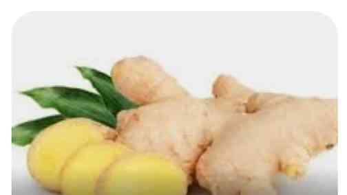 Vetiver: Tanaman Ajaib Seribu Manfaat, Penyelamat Tanah dan Penenang Jiwa