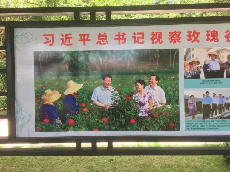 Xi Jinping berkunjung ke taman mawar: Dokpri