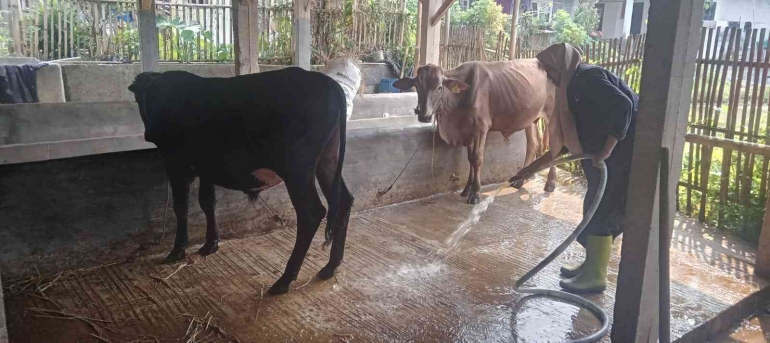 kegiatan sanitasi kelompok kkn12 faperta, dok. pribadi
