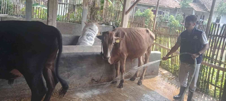kegitan sanitasi kelompok kkn 12, dok. pribadi
