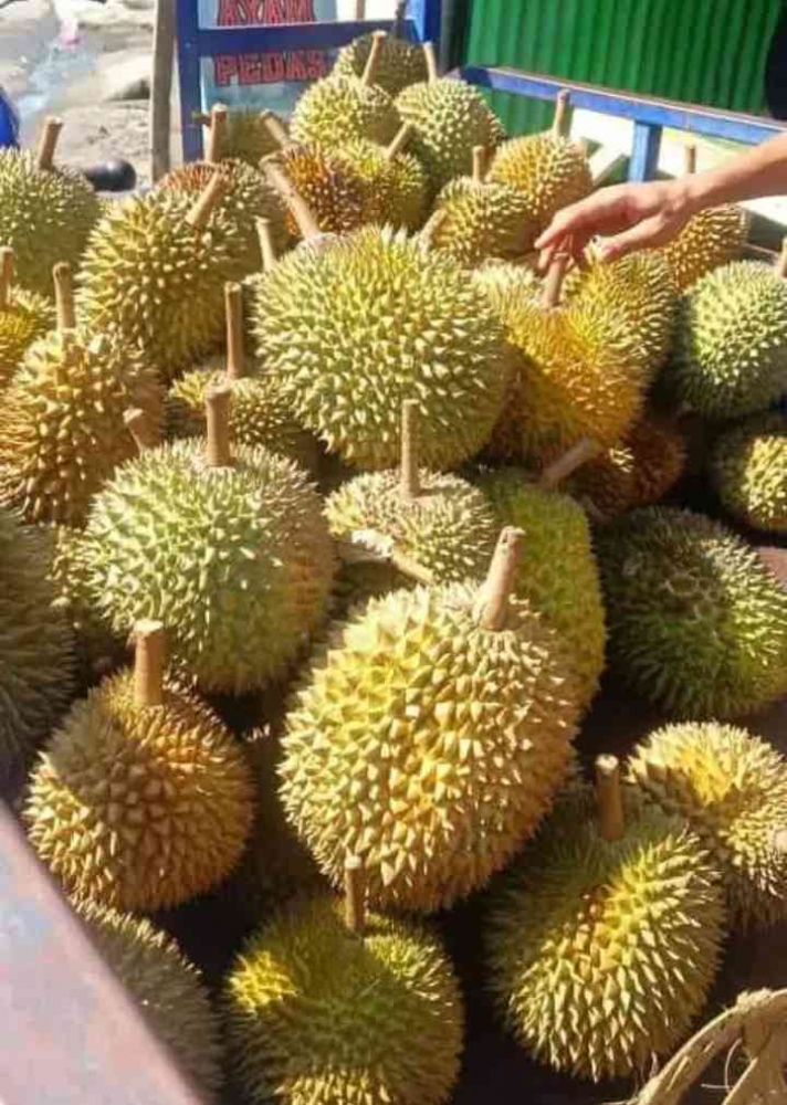 Buah durian dibalik.kelezatannya (Dok. Pribadi)