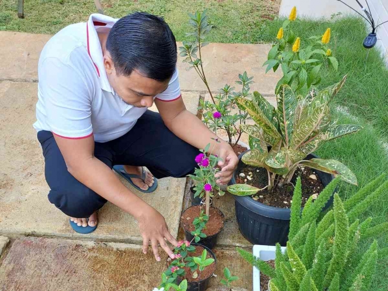 gambar seorang pria sedang merawat tanaman (sumber: dok. pribadi)