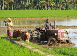 Pentingnya petani (Photo by Rajesh Ram on Unsplash)