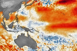 Dampak fenomen El Nino pada suhu global (dok foto: kompas.com)