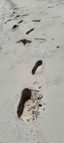 (Sumber pribadi) Gambar 5. Cuplikan berkas kaki saya ketika berlari sepanjang pantai. 