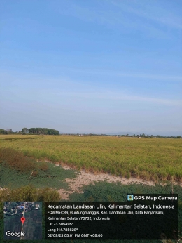 Gambar 3. Lahan Basah Pertanian di Kecamatan Landasan Ulin