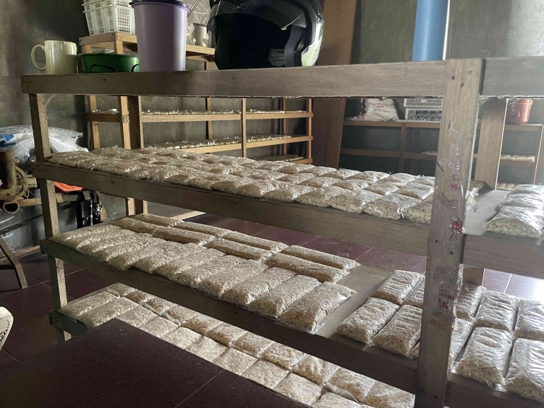 Kunjungan Sekaligus Sharing Mengenai Pembuatan Tempe di Pabrik Tempe ...